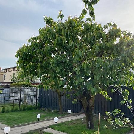 Schoenes Reihenhaus Mit Garten Magdeburg Luaran gambar