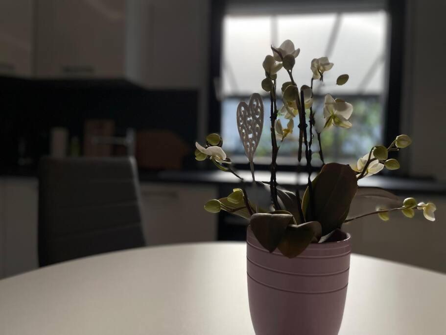 Schoenes Reihenhaus Mit Garten Magdeburg Luaran gambar